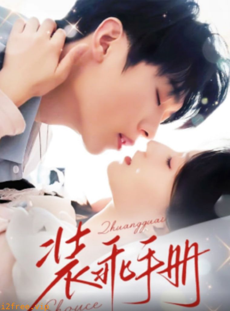 装乖手册 封面图片