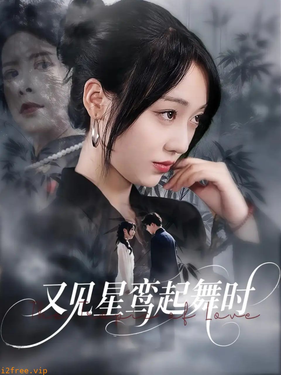 又见星鸾起舞时 封面图片
