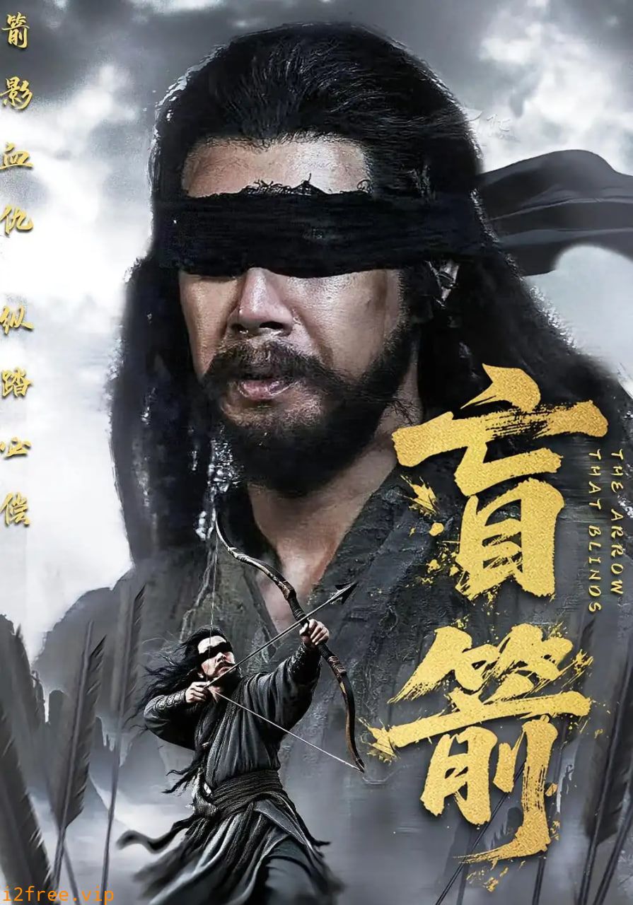盲箭 封面图片