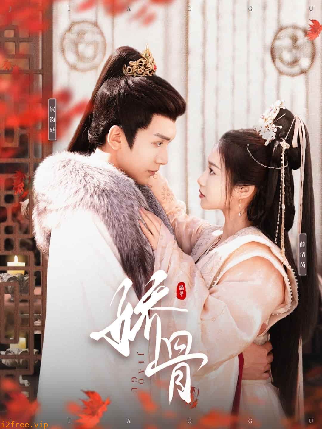 娇骨 封面图片