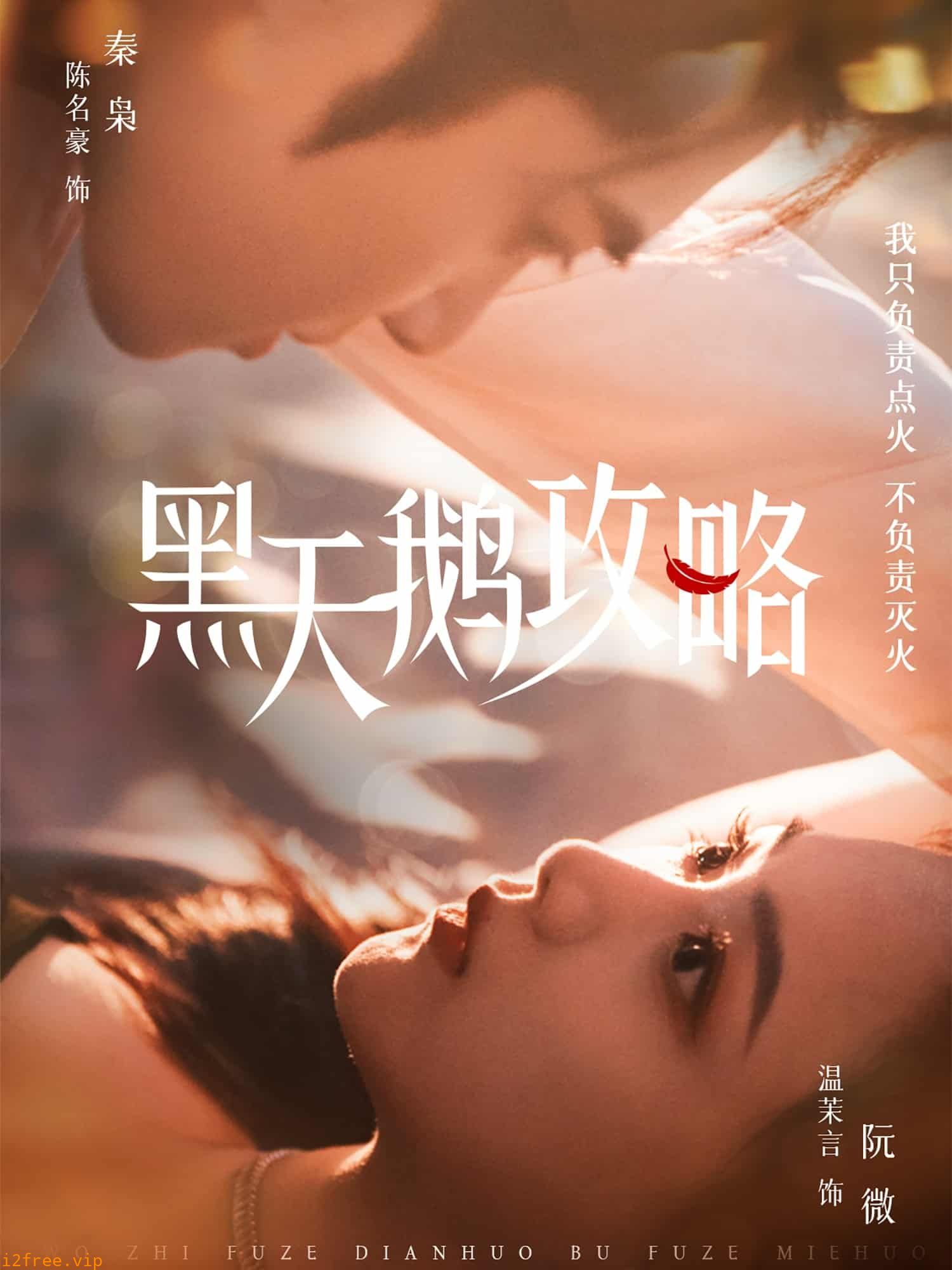 黑天鹅攻略 封面图片