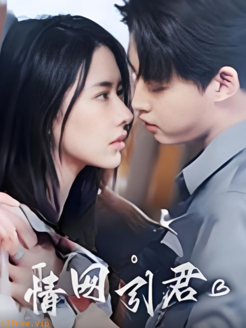 情网引君 封面图片