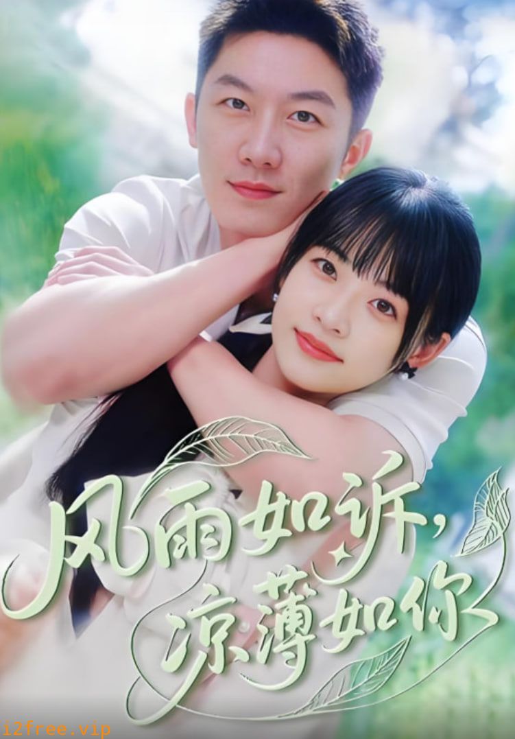 风雨如诉凉薄如你 封面图片