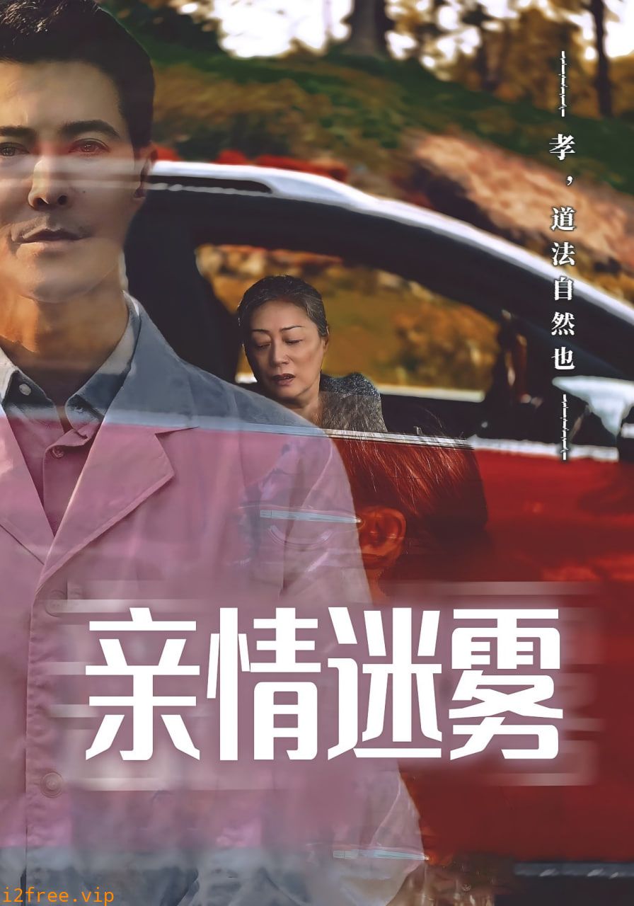 亲情迷雾 封面图片