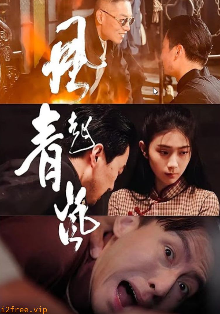 风起青岚 封面图片