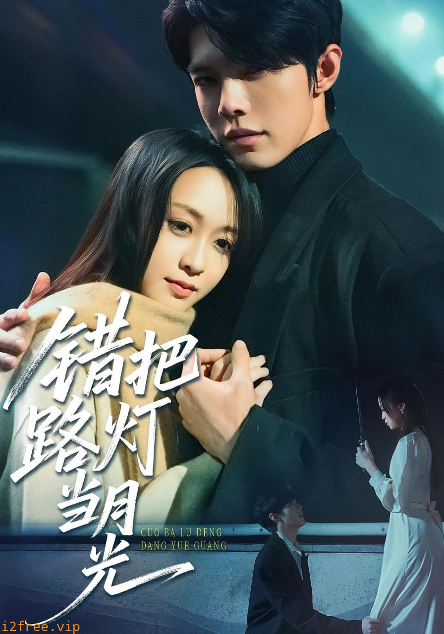 错把路灯当月光 封面图片