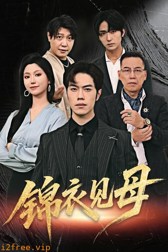 锦衣见母 封面图片