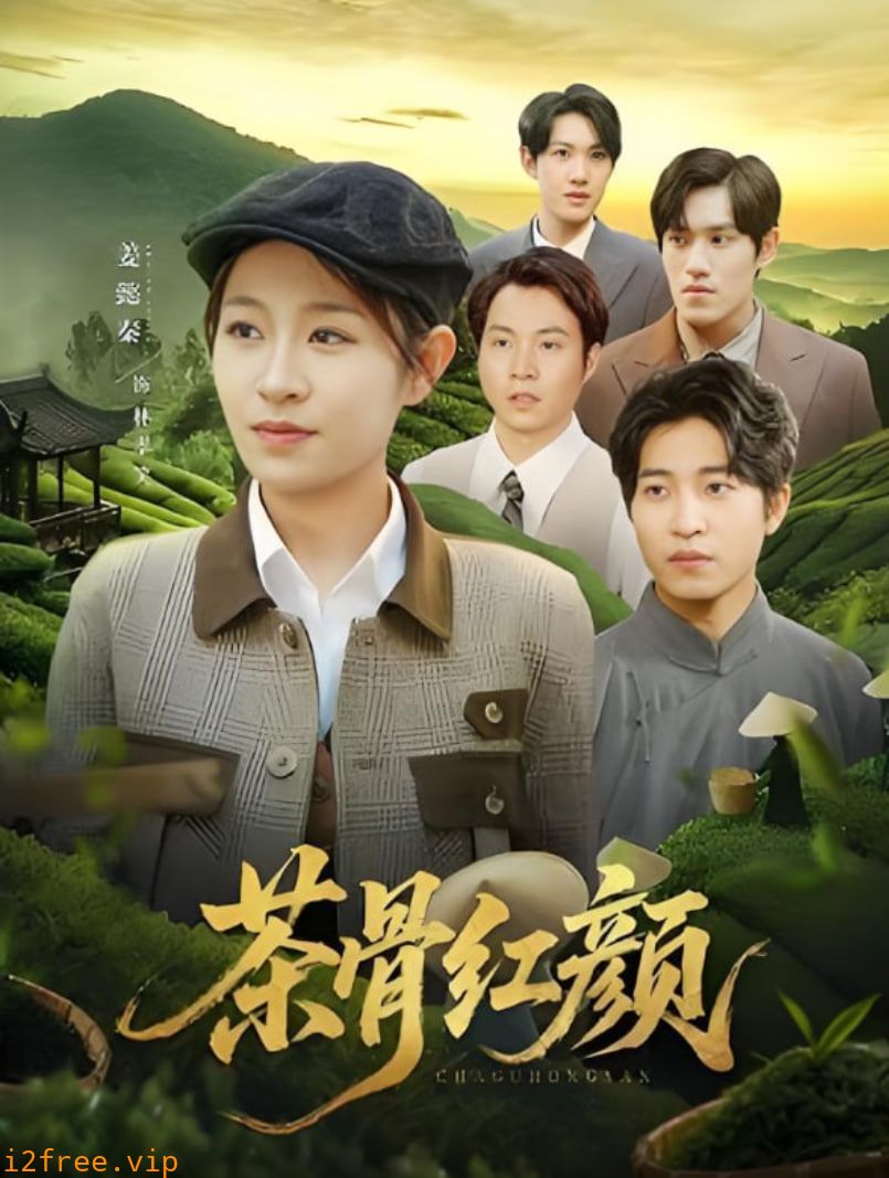 茶骨红颜 封面图片