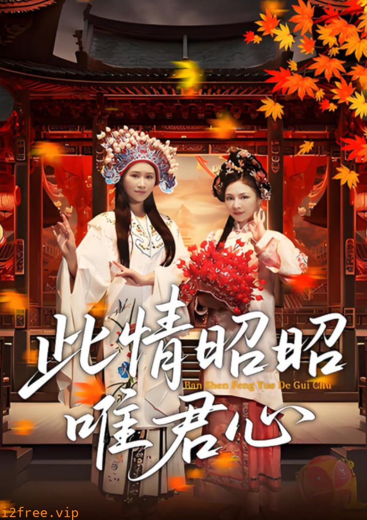 此情昭昭唯君心 封面图片