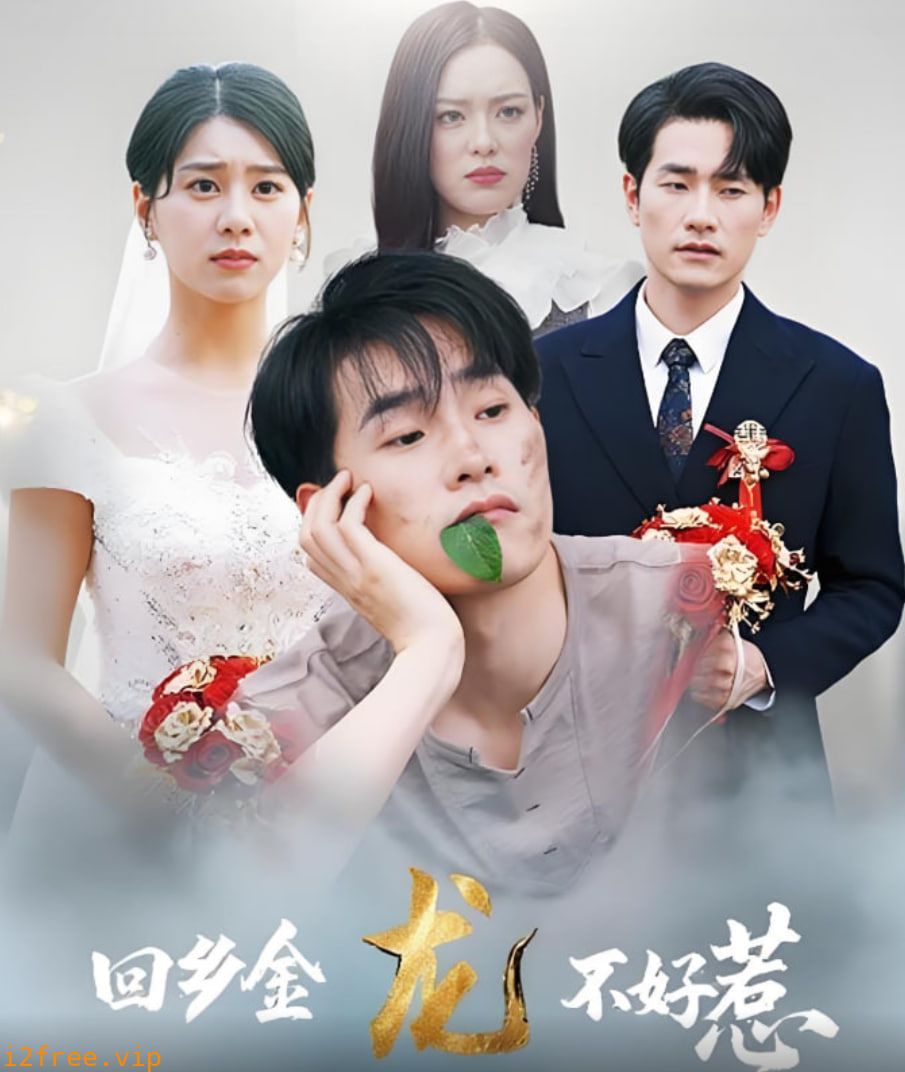 回乡金龙不好惹 封面图片