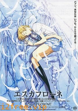 天空之Escaflowne 封面图片