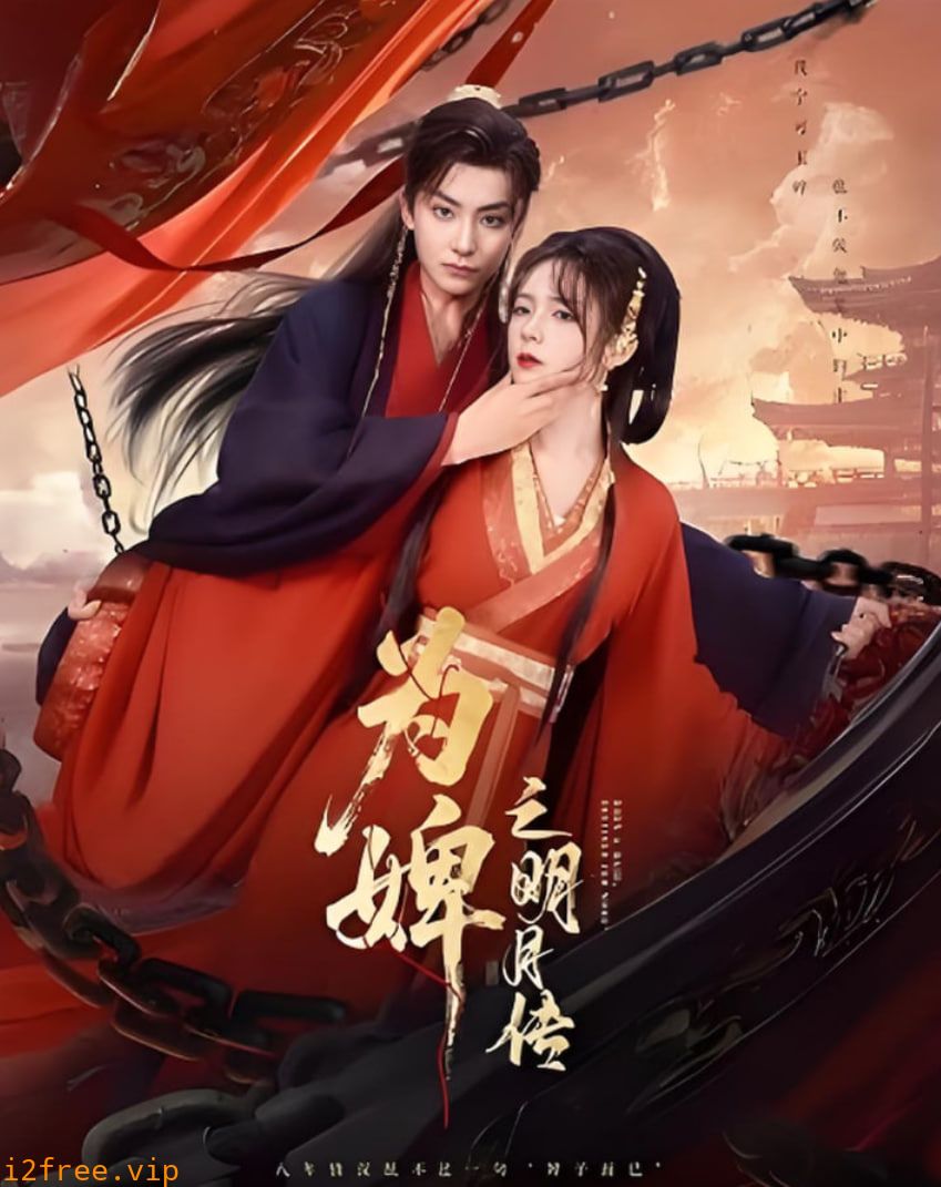 为婢之明月传 封面图片
