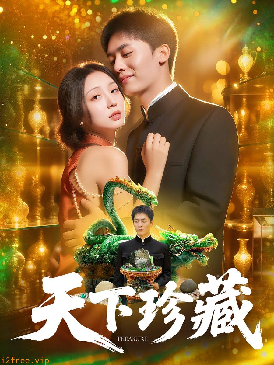 天下珍藏 封面图片
