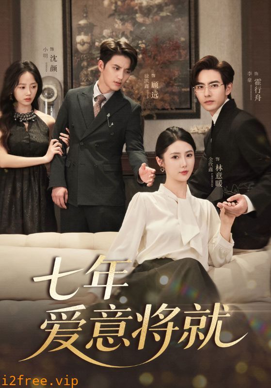 当时明月再难圆，七年爱意将就 封面图片