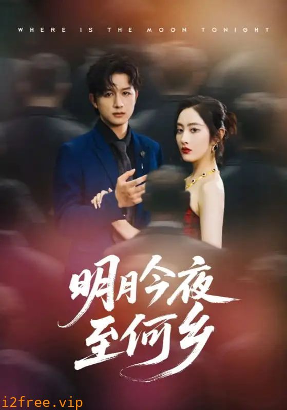 明月今夜至何乡 封面图片
