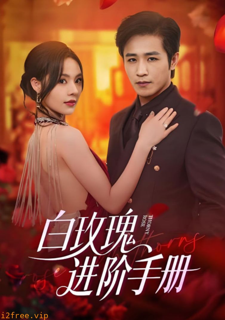 白玫瑰进阶手册 封面图片