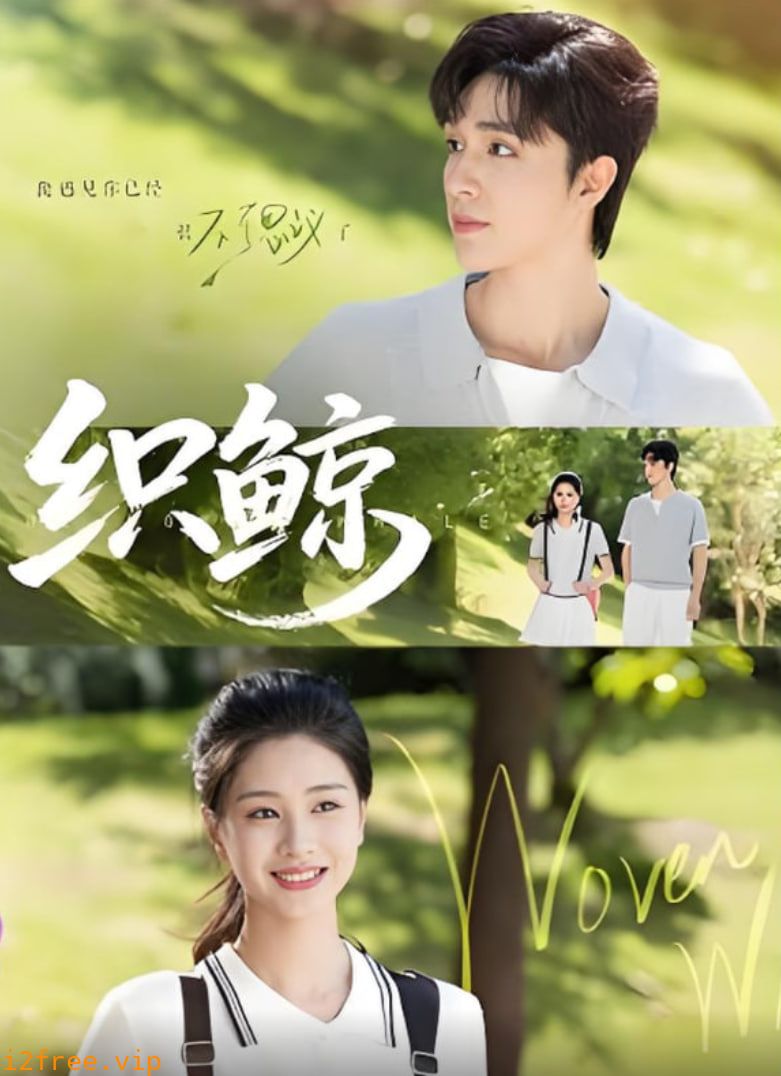 织鲸 封面图片