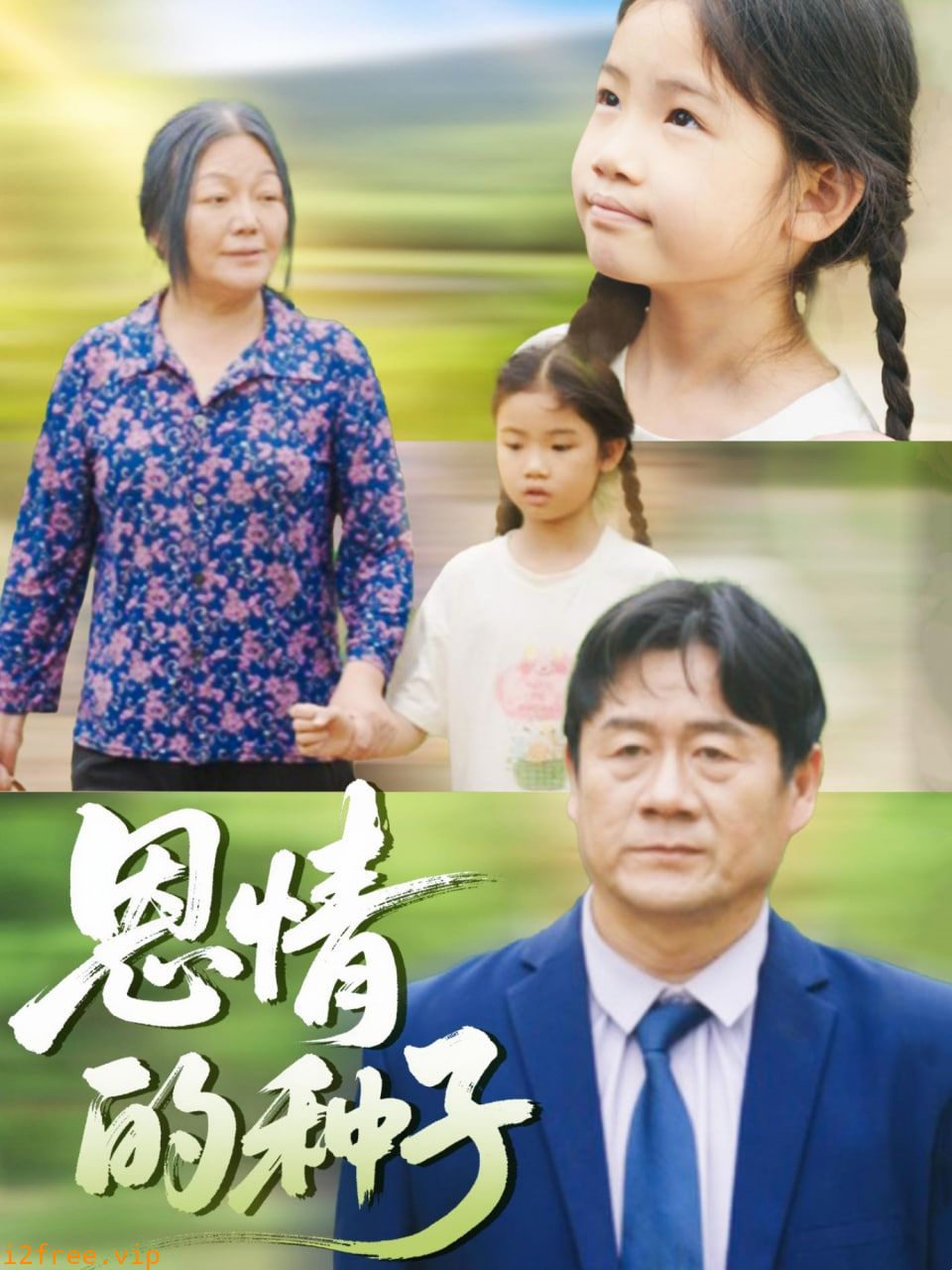 恩情的种子 封面图片