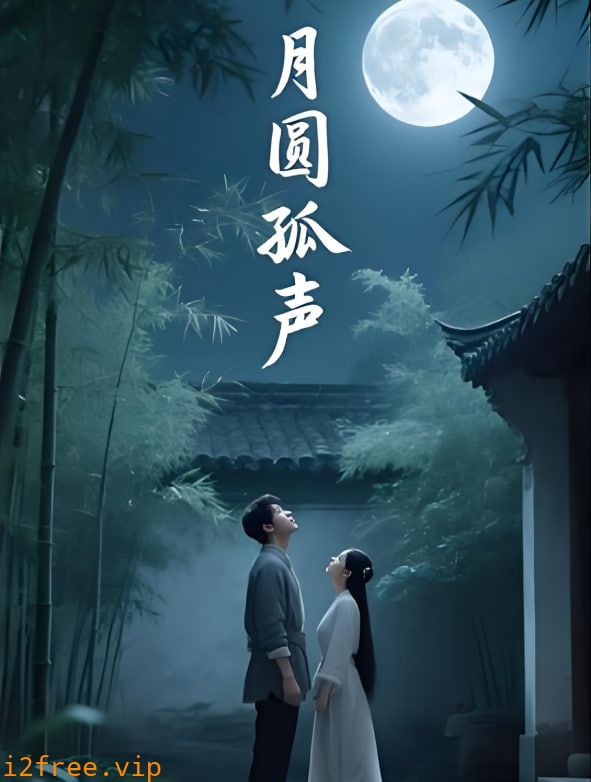 月圆孤声 封面图片