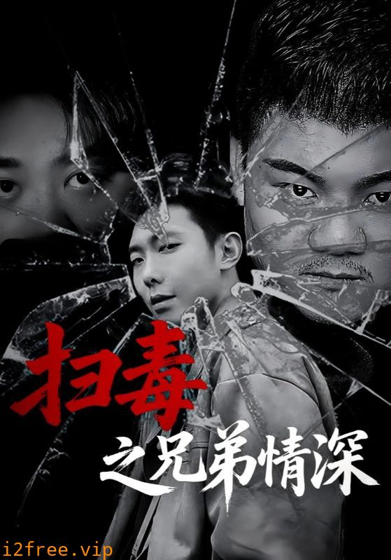 扫毒之兄弟情深 封面图片