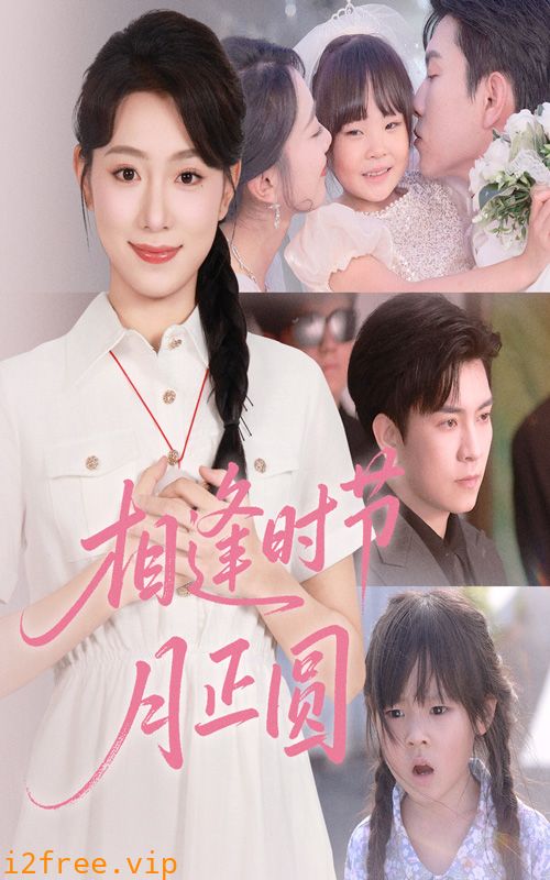 相逢时节月正圆 封面图片