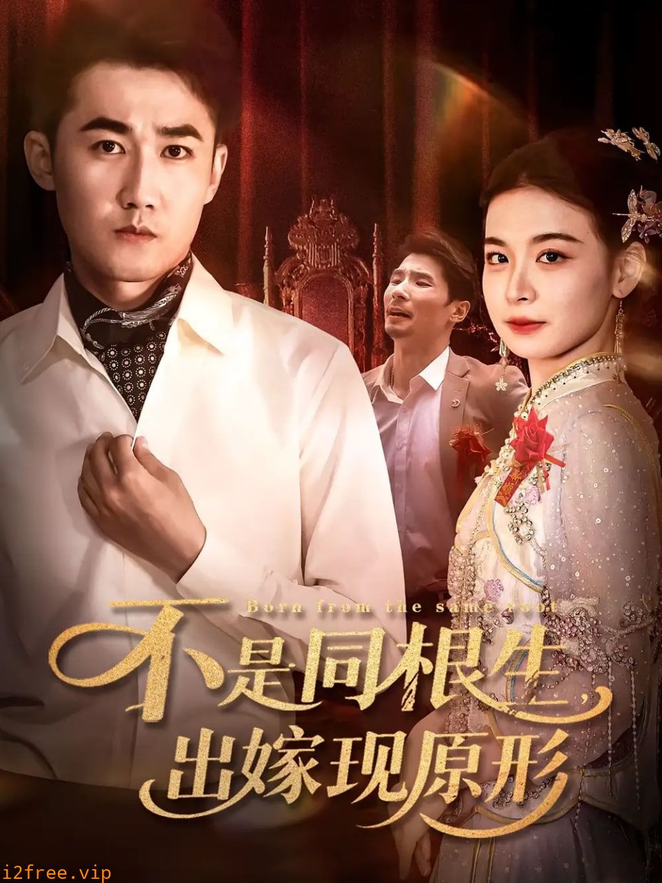 不是同根生出嫁现原形 封面图片