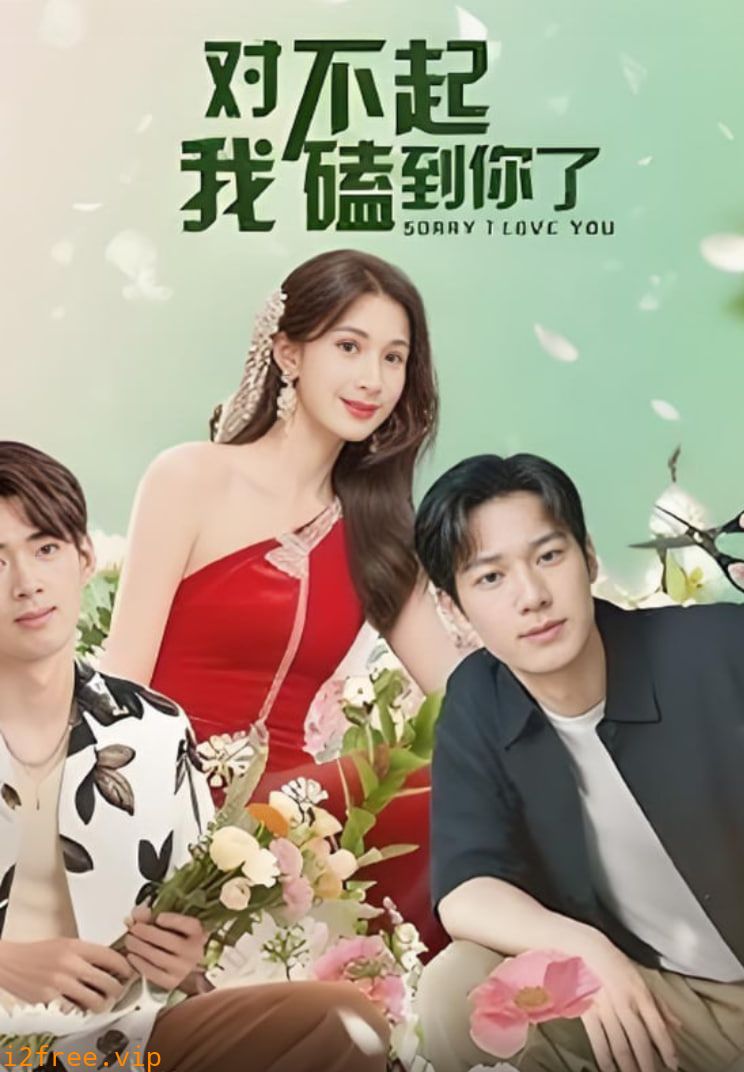 对不起我磕到你了 封面图片