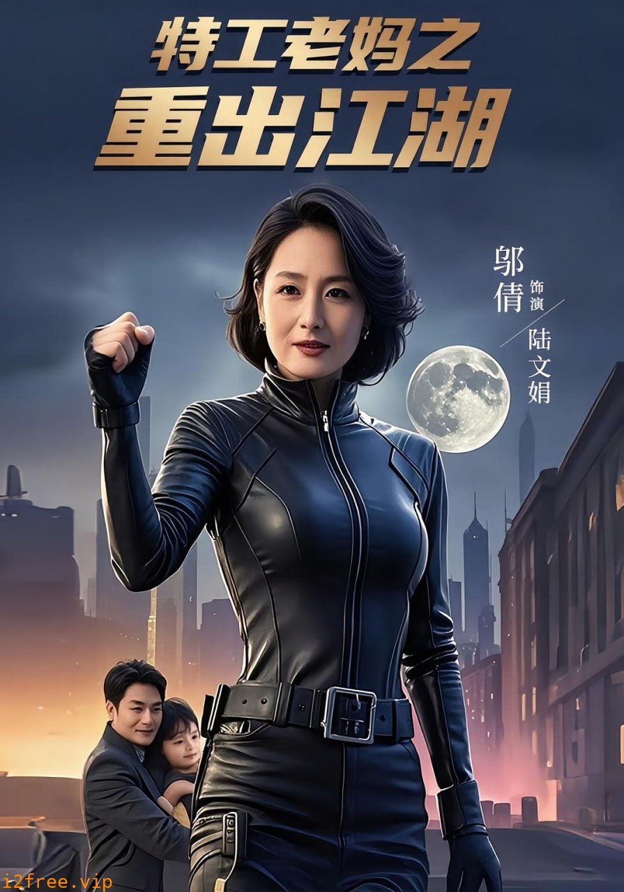 特工老妈之重出江湖 封面图片