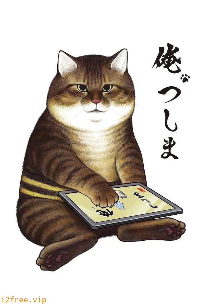 我叫津岛 封面图片