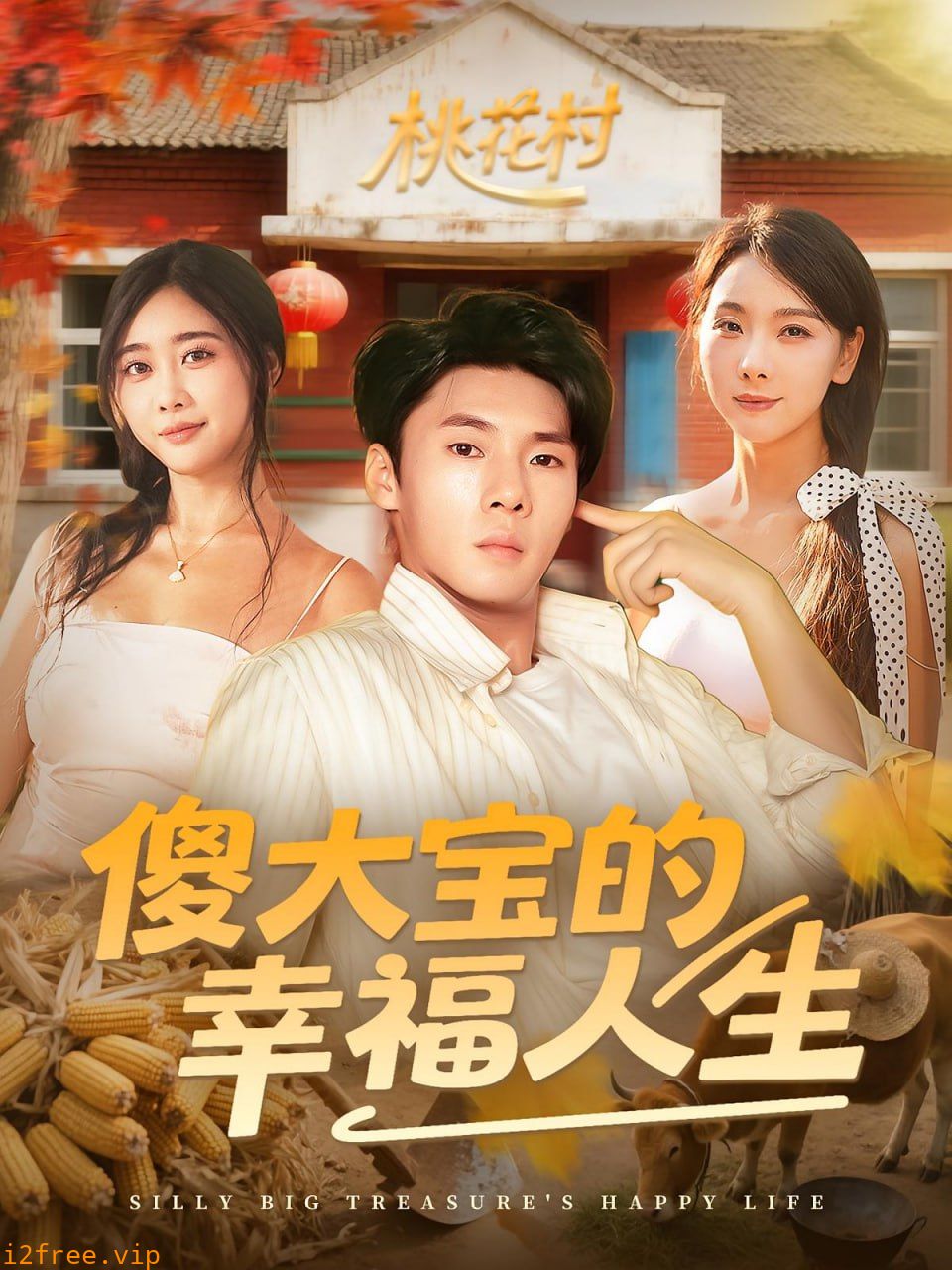 傻大宝的幸福人生 封面图片
