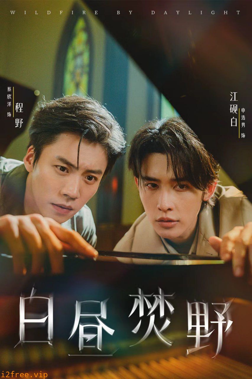 白昼焚野 封面图片