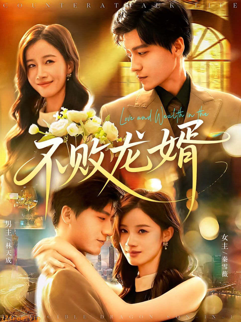 不败龙婿 封面图片