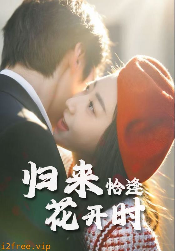 归来恰逢花开时 封面图片
