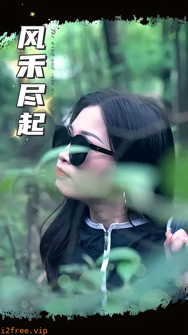 风禾尽起 2025 封面图片