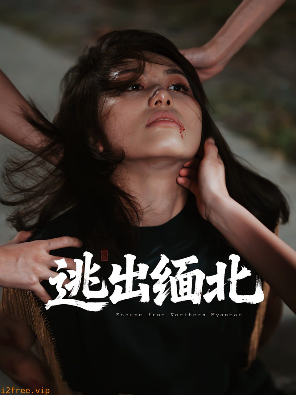 逃出缅北 封面图片