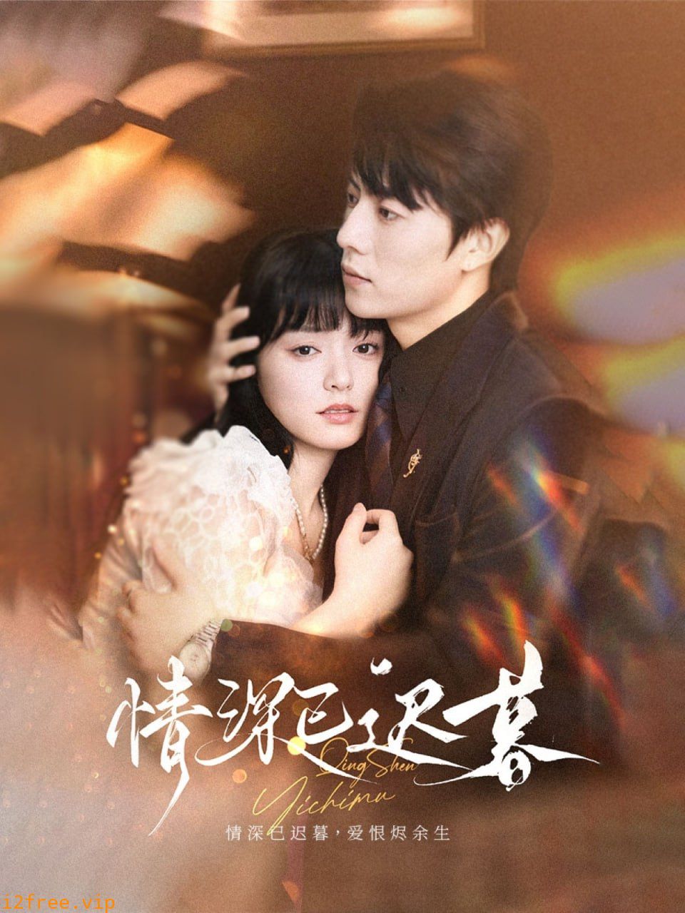 情深已迟暮 封面图片