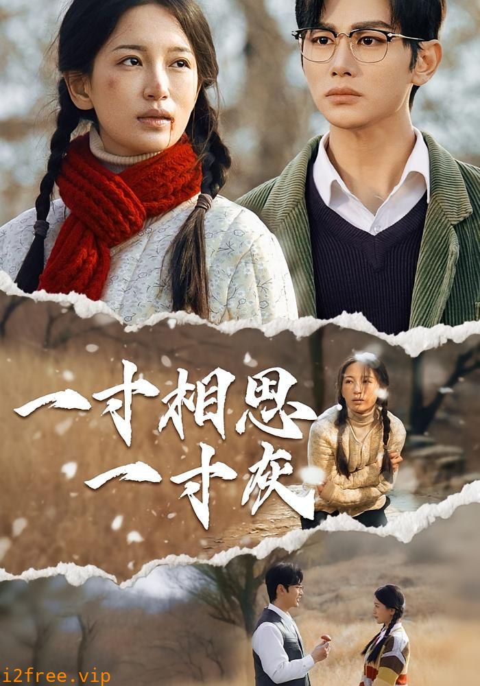 一寸相思一寸灰 封面图片