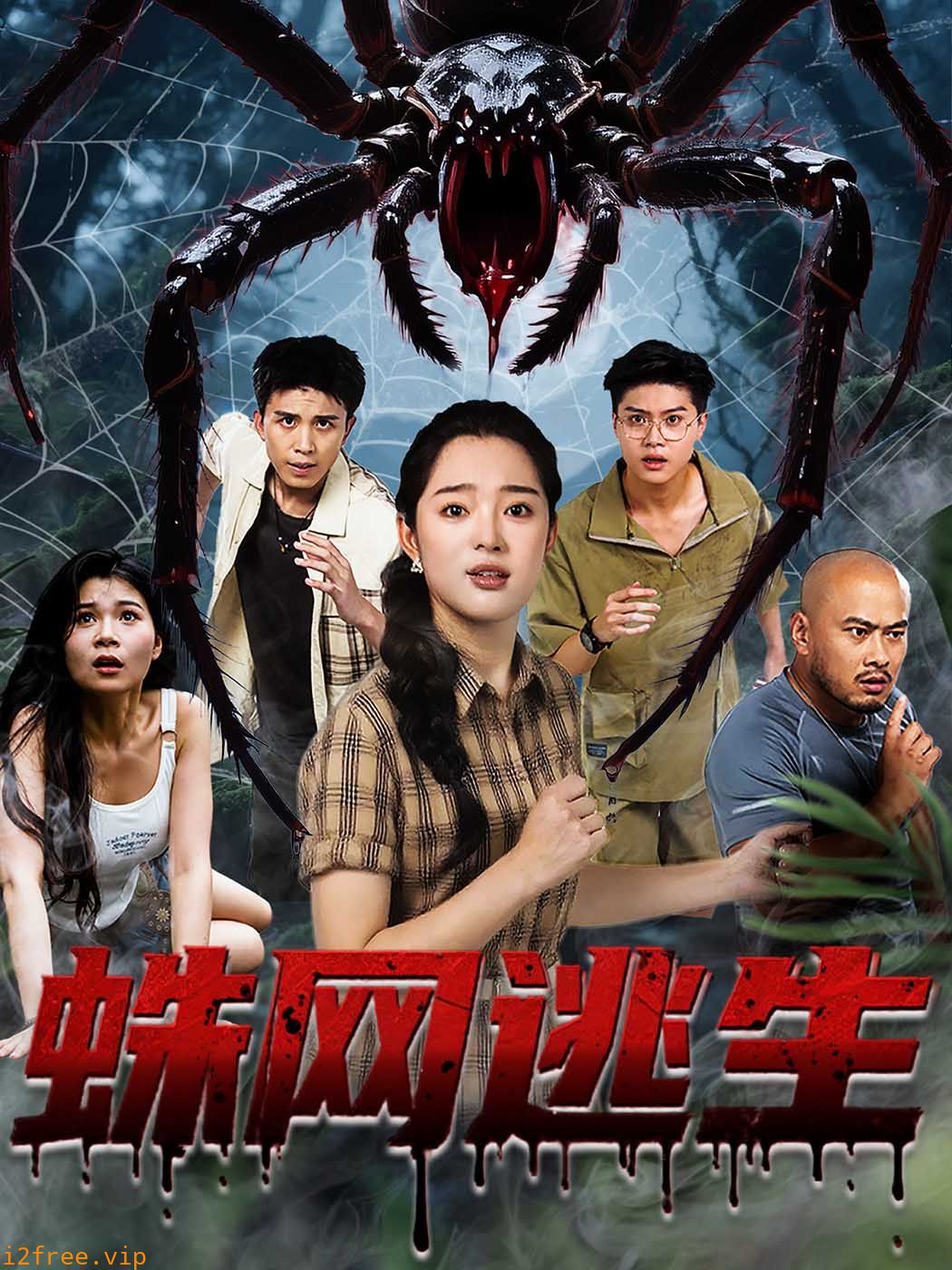 蛛网逃生 封面图片