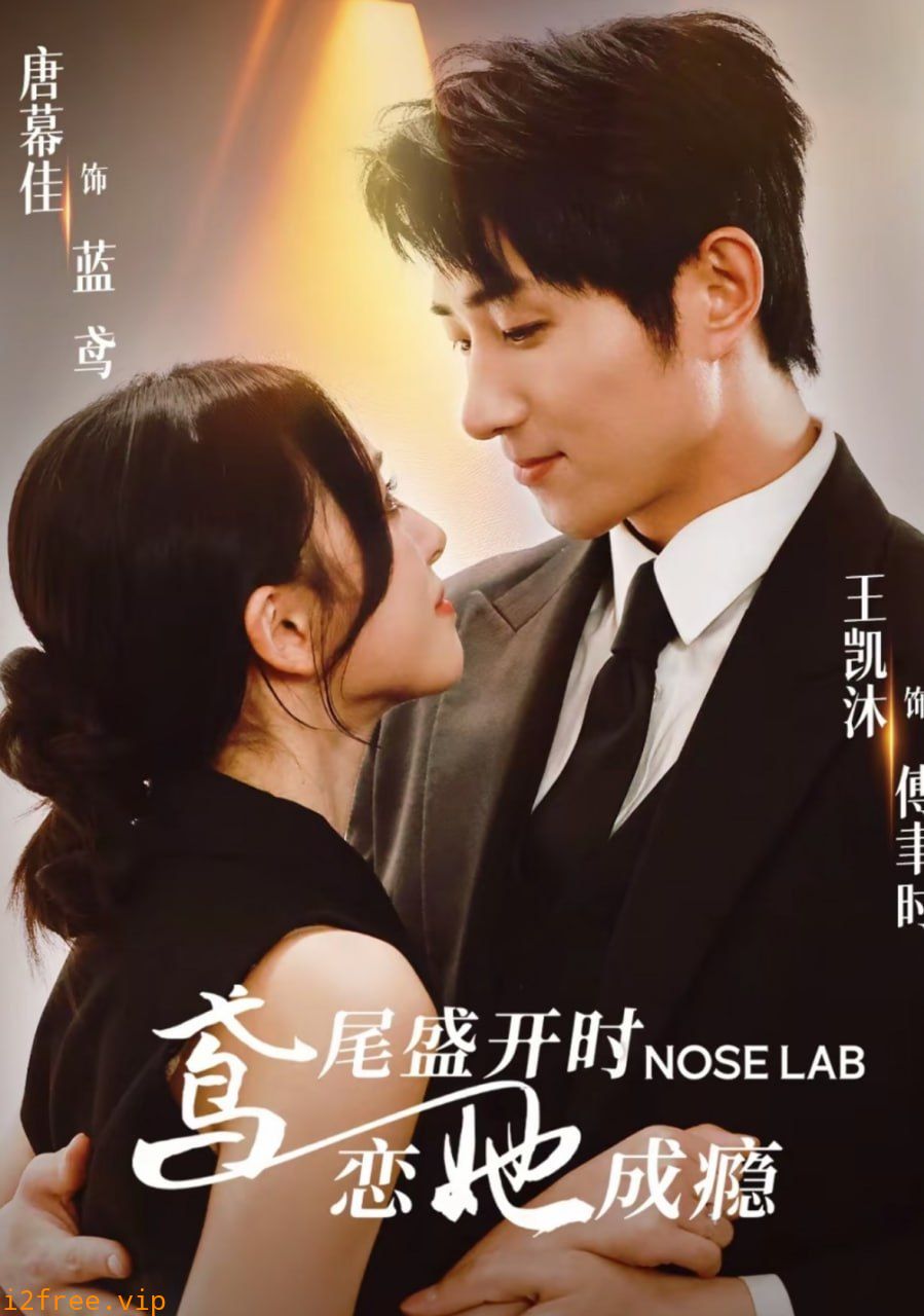鸢尾盛开时恋她成瘾 封面图片