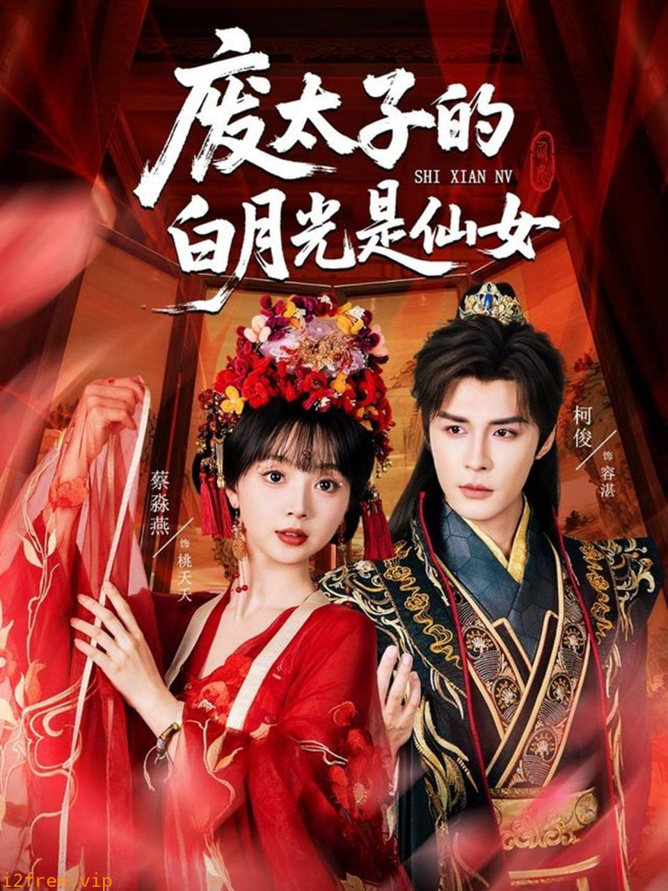 废太子的白月光是仙女 封面图片
