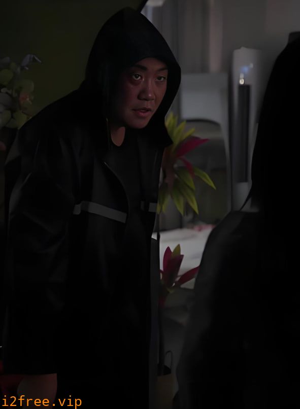 噩梦预言 封面图片