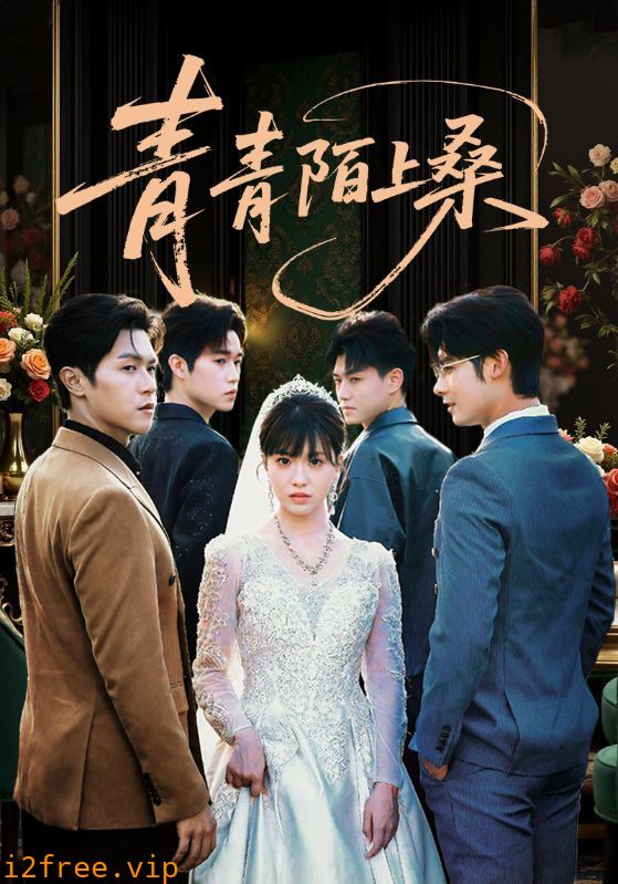 青青陌上桑 封面图片