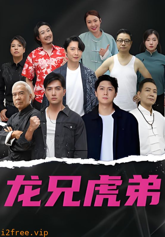 龙虎兄弟 国语版 封面图片