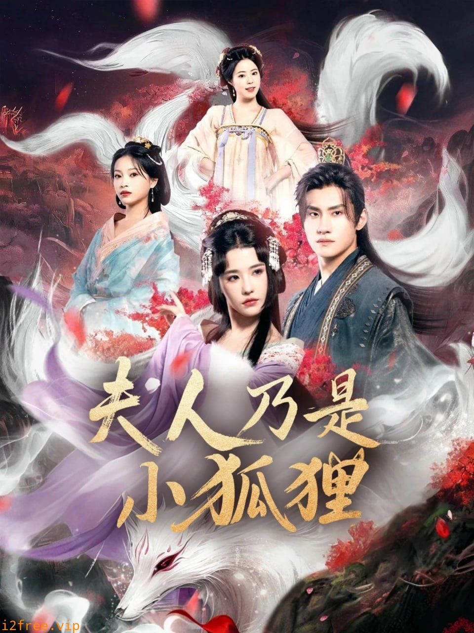 狐狸夫人今天掉马了吗（夫人乃是小狐狸） 封面图片