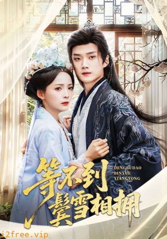 等不到鬓雪相拥 封面图片