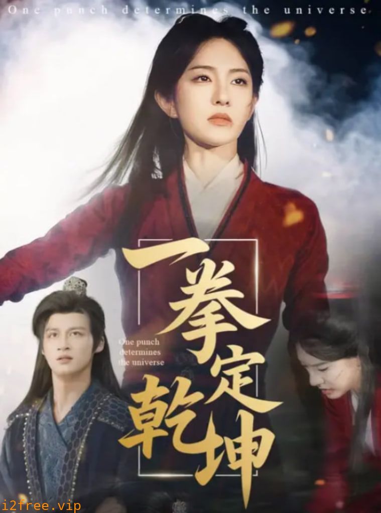 一拳定乾坤 封面图片