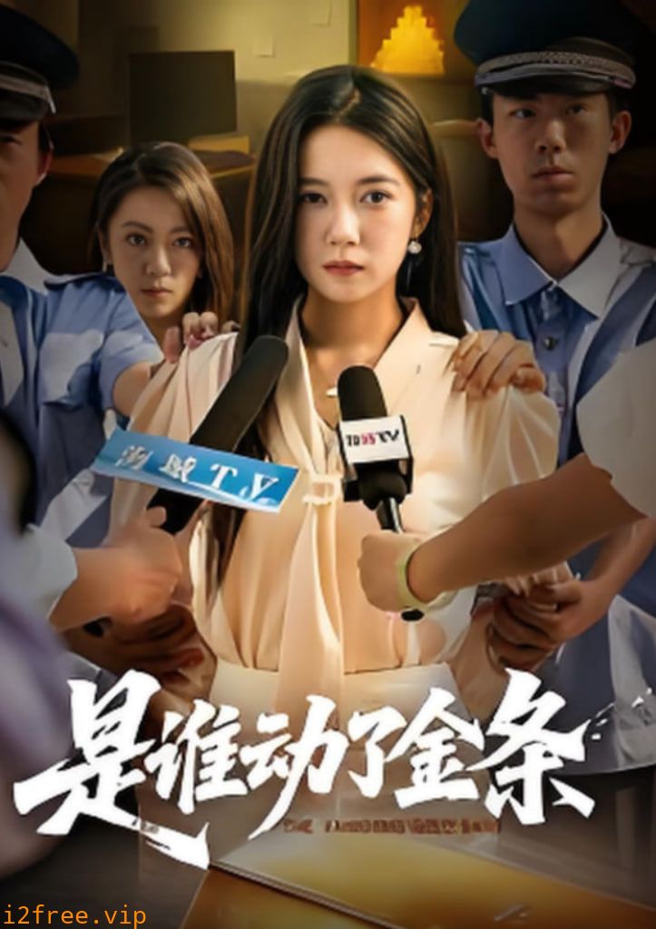 是谁动了金条 封面图片