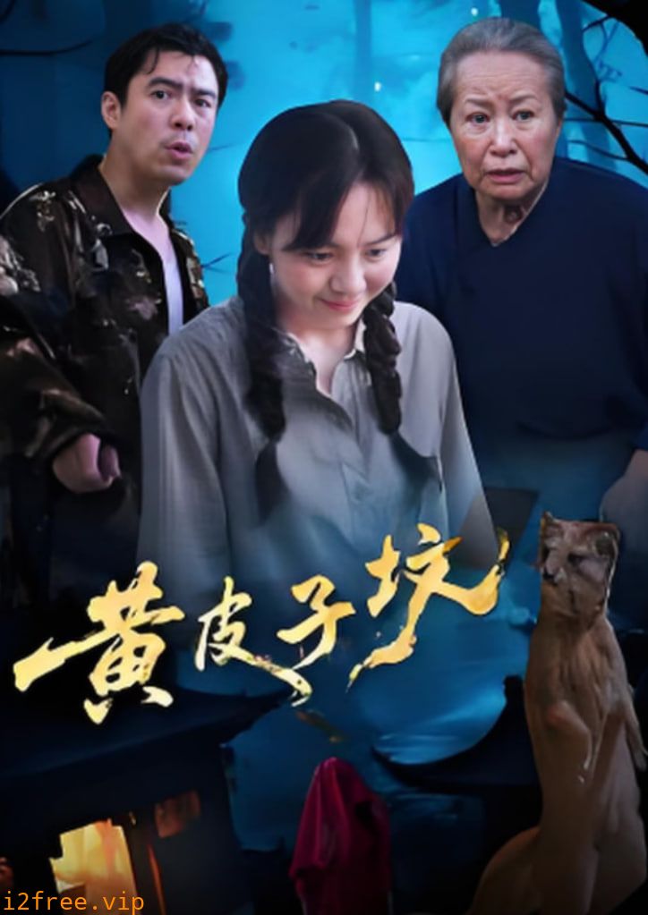 黄皮子坟 封面图片