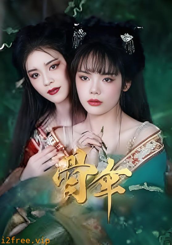 骨伞 封面图片