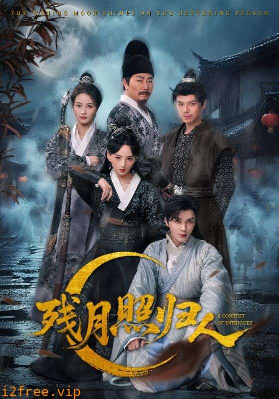 残月照归人 封面图片